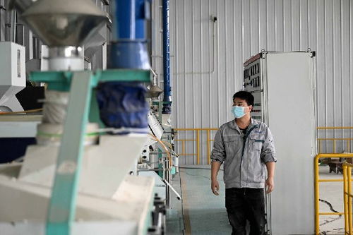 產業煥新推進鄉村振興 直擊小崗村新發展