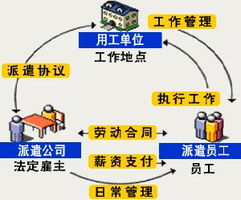 上海勞務(wù)派遣與企業(yè)管理咨詢服務(wù) 優(yōu)選伙伴與五險(xiǎn)一金合規(guī)指南